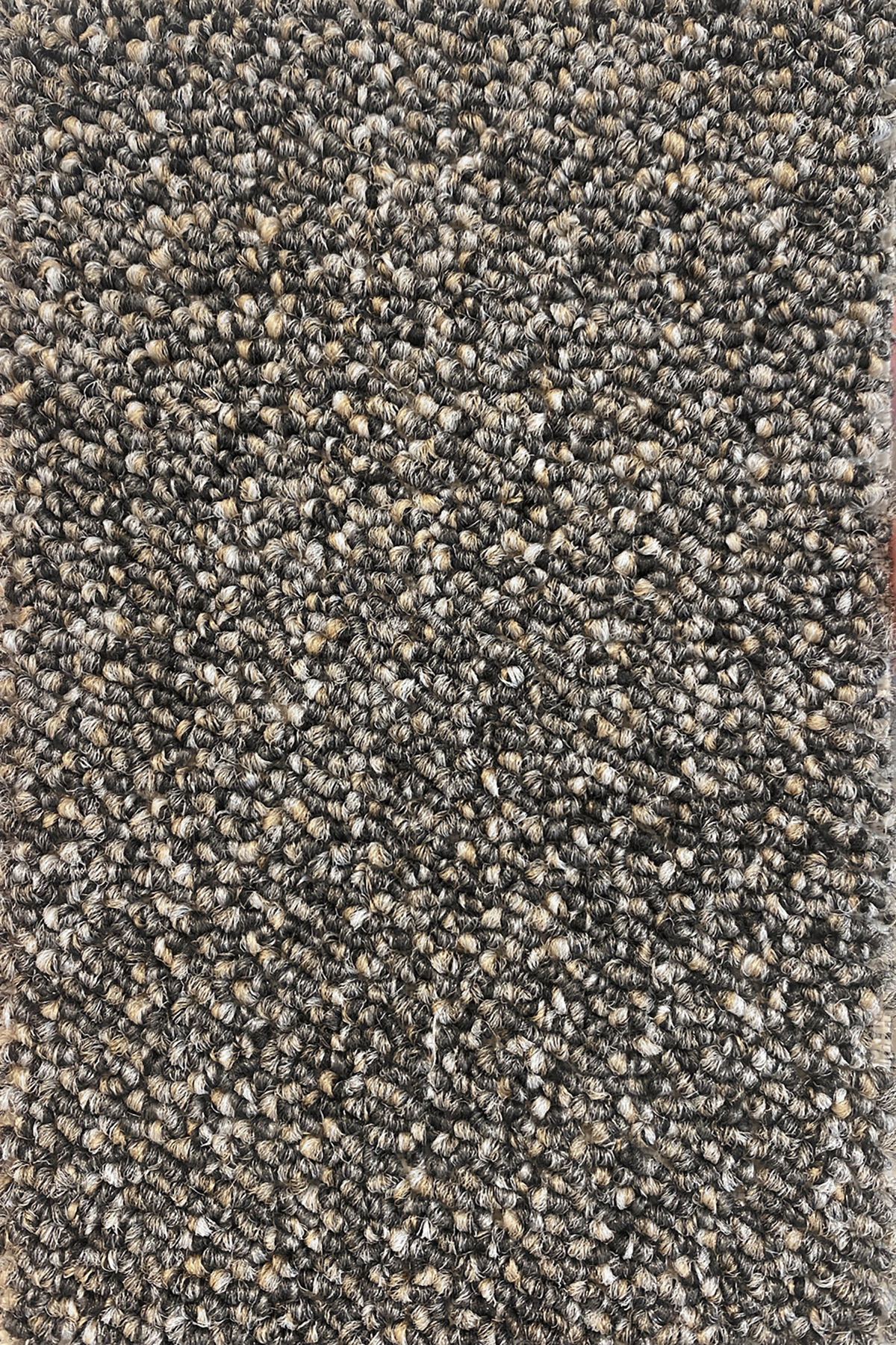 Ковровое покрытие "Bonkeel" Nero 97 (ширина 4м) — купить в Нальчике