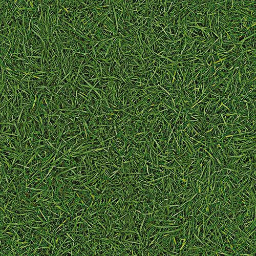 Линолеум бытовой "IVC" Bingo Grass 25 (3м) — купить в Нальчике