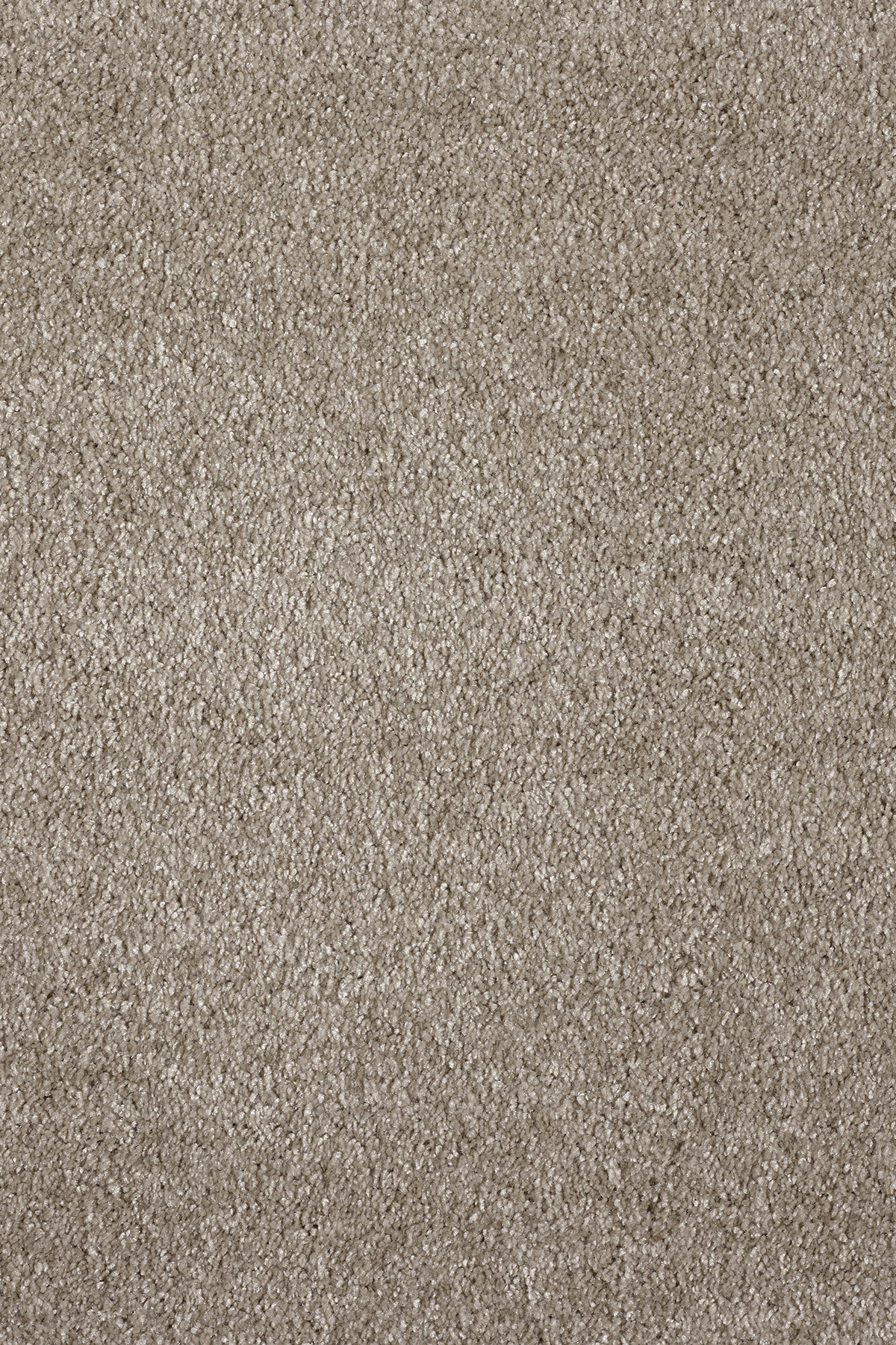 Ковровое покрытие "Bonkeel" Parana 34 (ширина 4м/5м) — купить в Нальчике