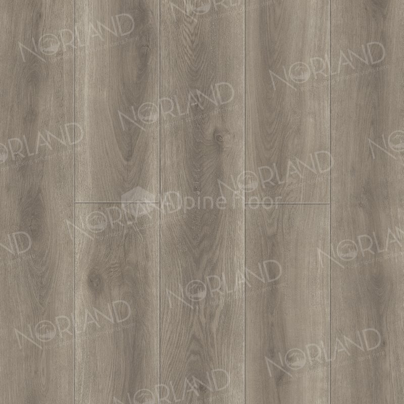 SPC Ламинат "Norland" Templet (1220*196*8 мм) — купить в Нальчике