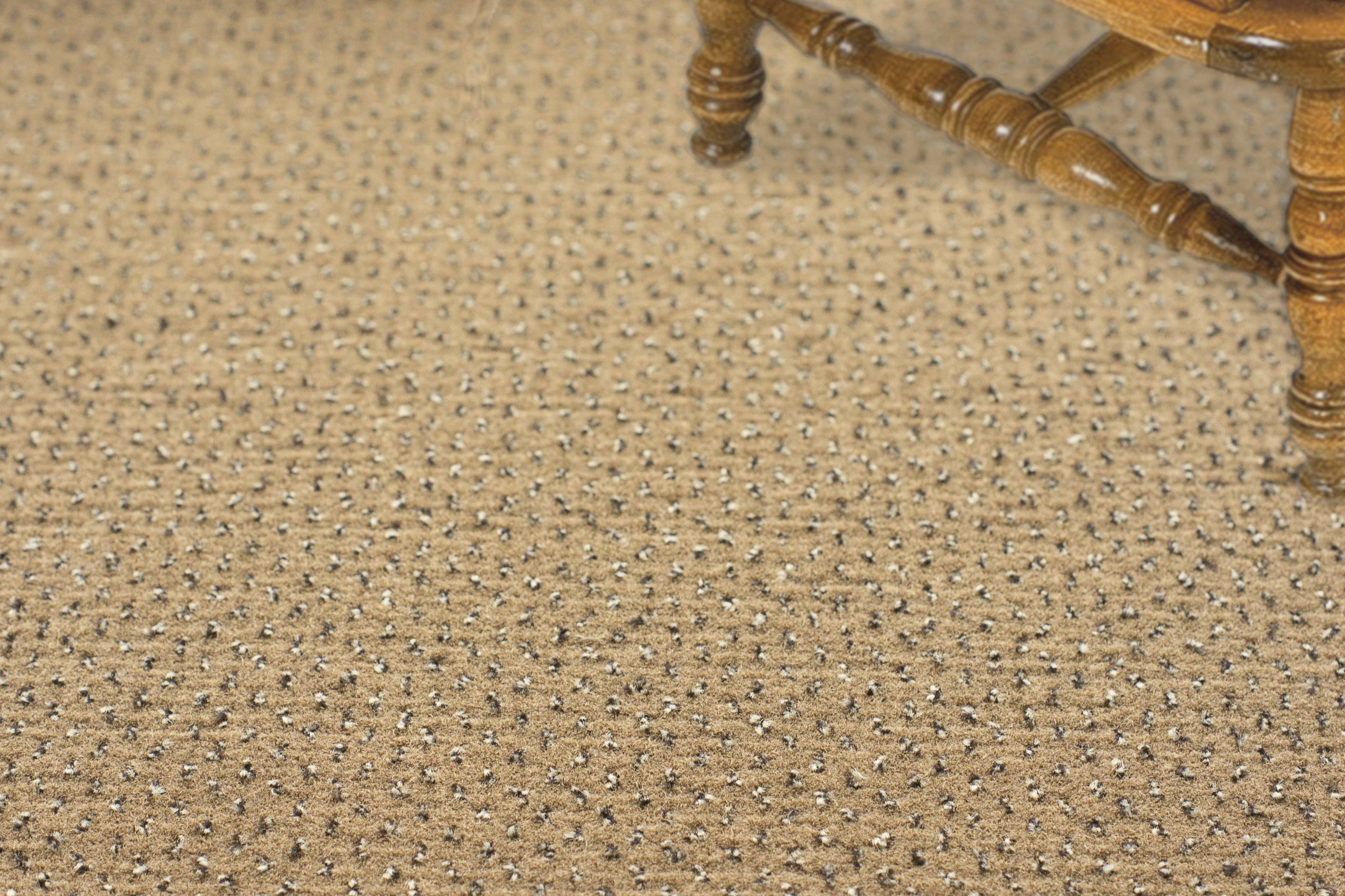 Ковролин "Зартекс" Eternity 142 бежевый (4м) — купить в Нальчике