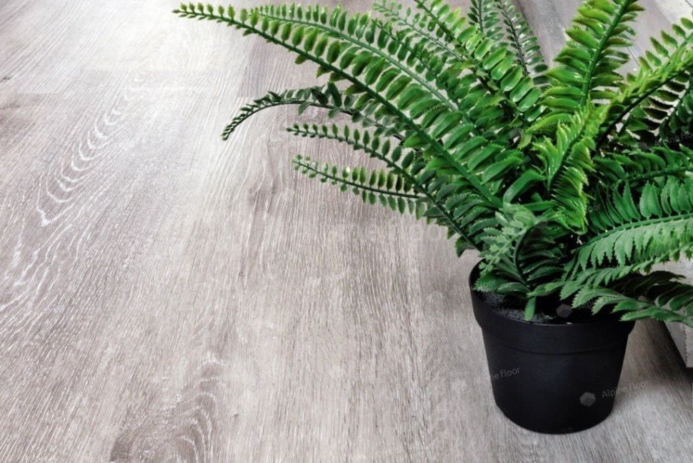 Виниловый ламинат "Alpine Floor" Classic Light MC Ясень Серый (1220*183*3,5 мм) — купить в Нальчике