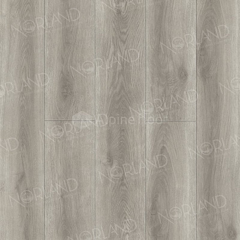 SPC Ламинат "Norland" Femund (1220*196*8 мм) — фото и характеристики